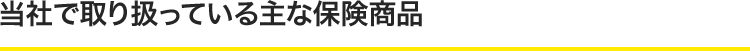 当社で取り扱っている主な保険商品